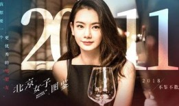 韩女士爆料离婚视频全集,情感纠葛背后的真相曝光